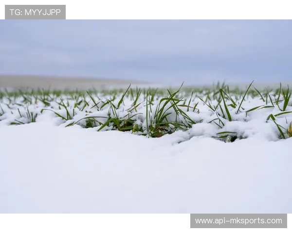 慕尼黑寒潮大雪，安联球场草皮条件受考验